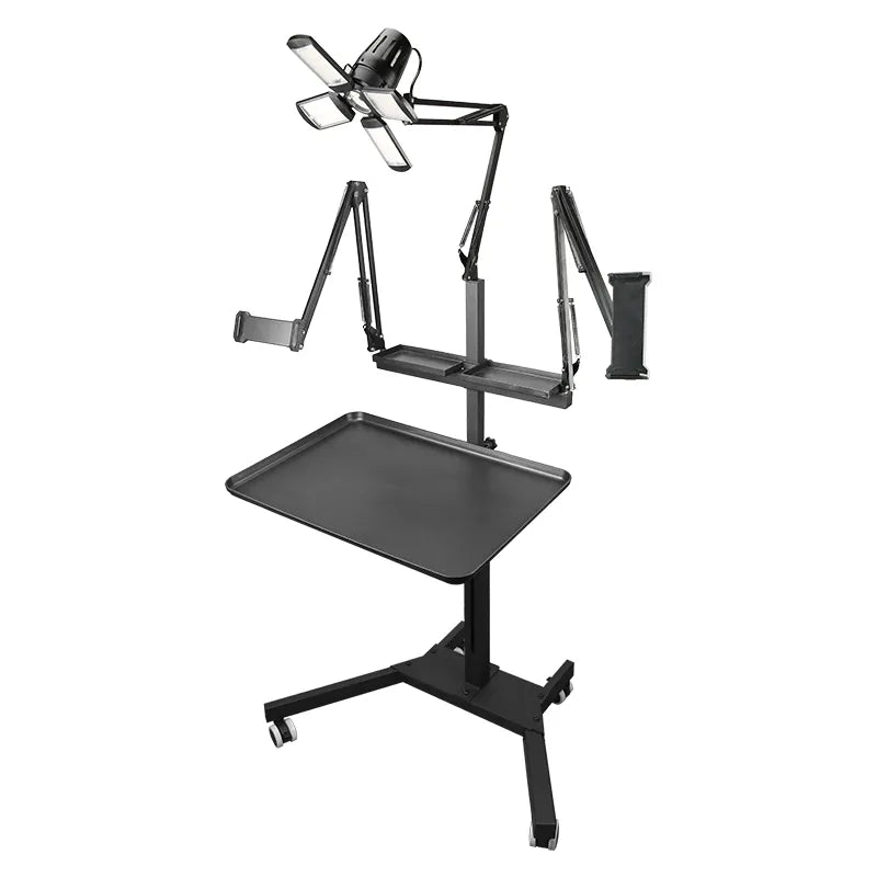 TAIDU Tattoo Bench Double Holder with Light | Studio Workstation