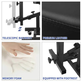 TAIDU 4th Gen Plus Multifunctional Tattoo Chair with Backrest